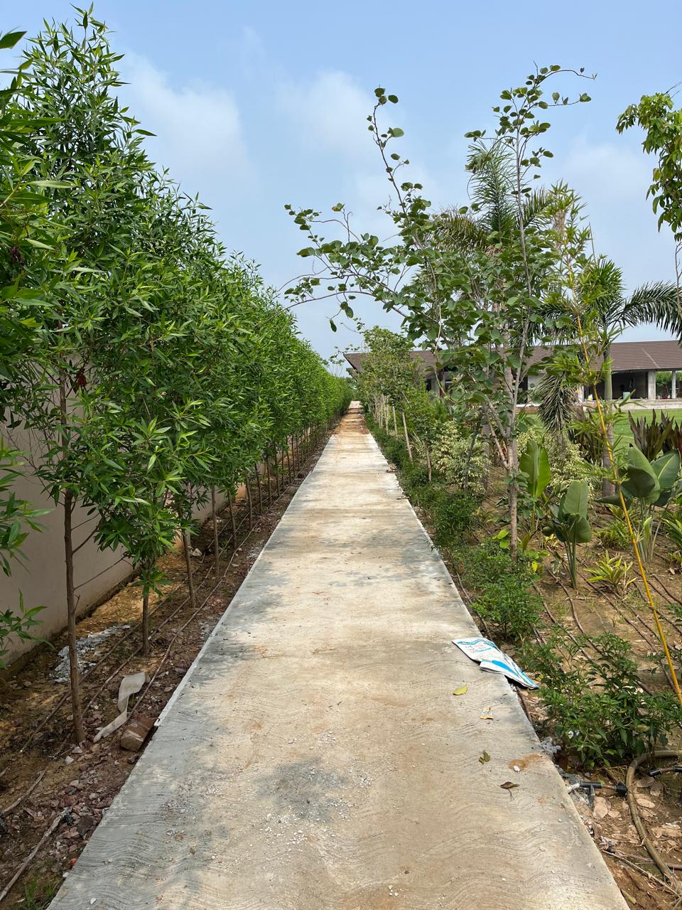 How to Choose the Right Landscape Contractor in Mehrauli