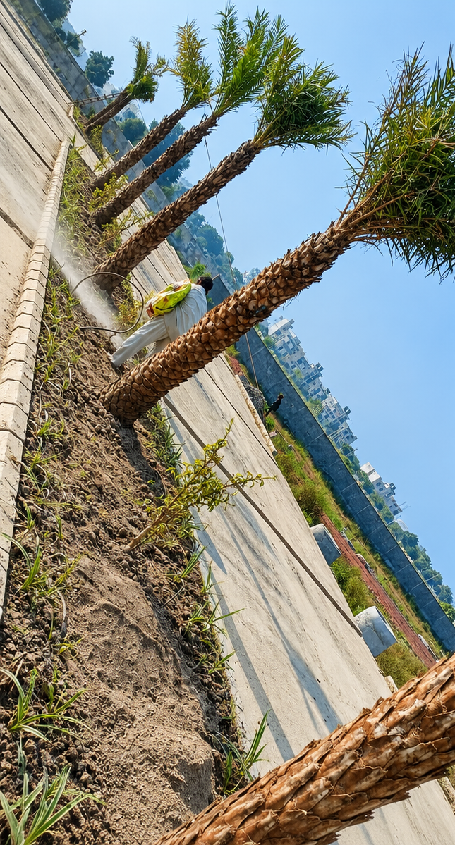 Applications of Landscape Services in Mehrauli
